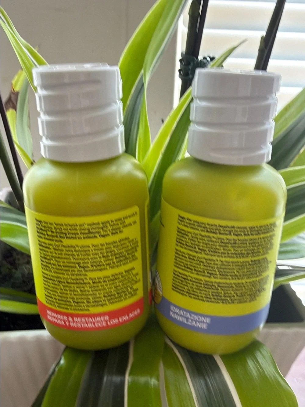 Bundle 2 ,DevaCurl Travel Hair Care Duo in Bright Green and White